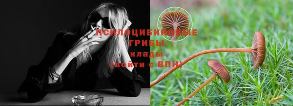 тгк Абаза