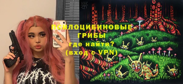 apvp Алзамай