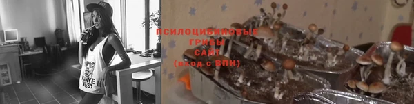 тгк Абаза