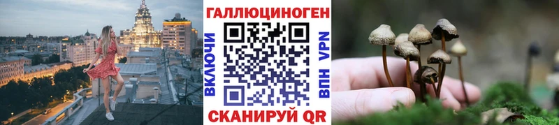 Галлюциногенные грибы ЛСД  mega зеркало  Злынка 